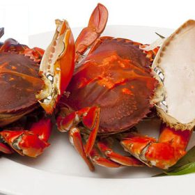 Cua lột (cua 2 da)