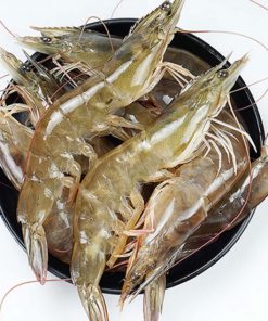 Sản Phẩm Từ Tôm