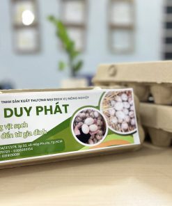 trứng vịt sạch Duy Phát