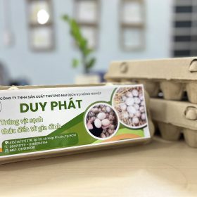 trứng vịt sạch Duy Phát