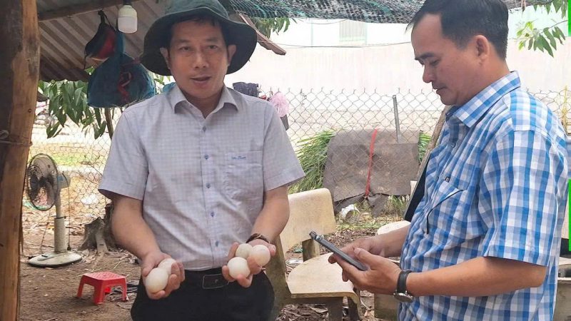 Duy Phát đồng hành phát triển mô hình trứng vịt hữu cơ tại Long Điền, TP.HCM