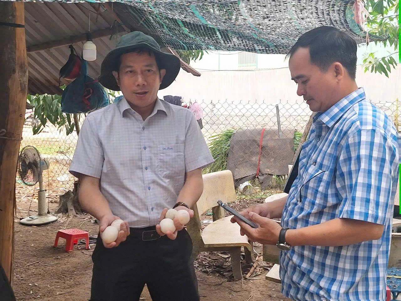 Duy Phát đồng hành phát triển mô hình trứng vịt hữu cơ tại Long Điền, TP.HCM