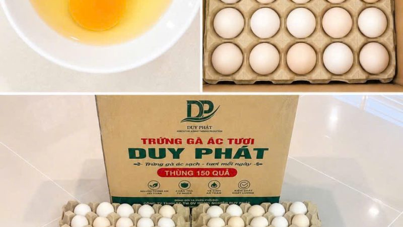 Lợi ích của trứng gà ác: Giá trị dinh dưỡng dưới góc nhìn khoa học
