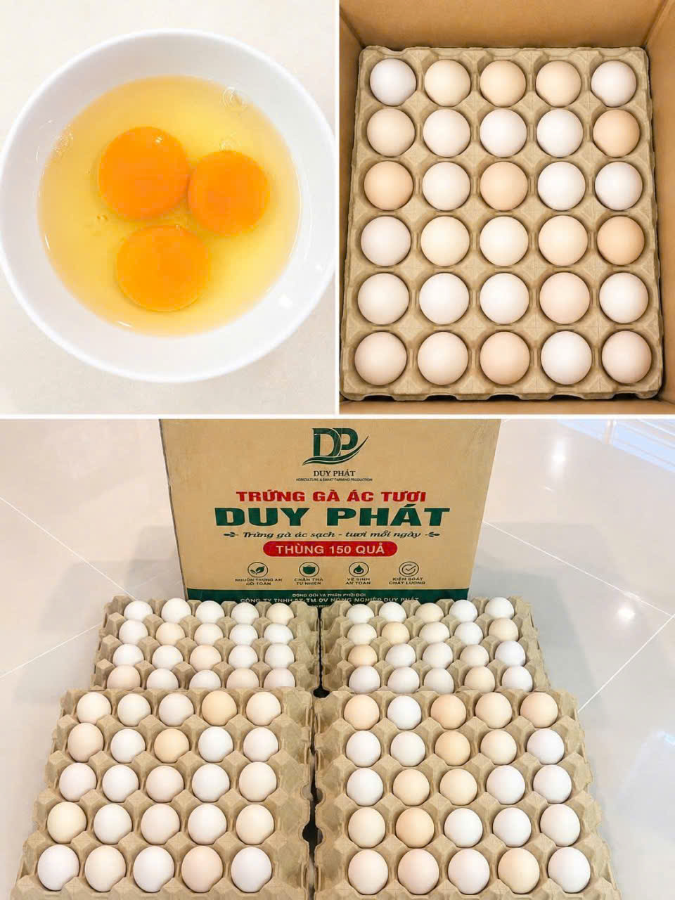 Lợi ích của trứng gà ác: Giá trị dinh dưỡng dưới góc nhìn khoa học