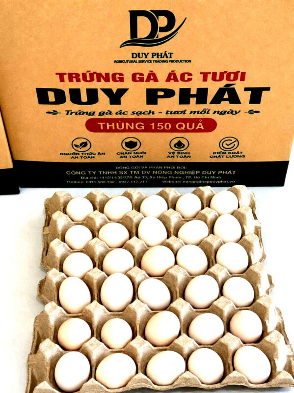 Có 12 bước để kiểm soát chuỗi quy trình làm nên một quả trứng Duy Phát